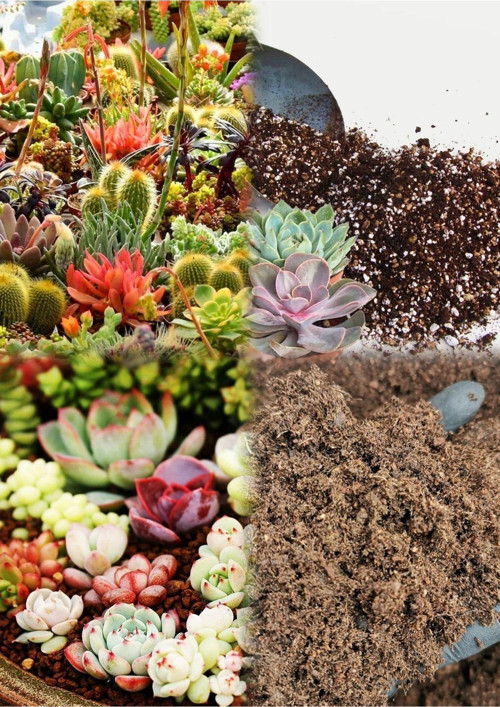 20 Litre Süper Organik Kaktüs Toprağı (17 Çeşit Ağaç Yaprağı Ve 3 Çeşit Hayvan Gübresi Karışımı)