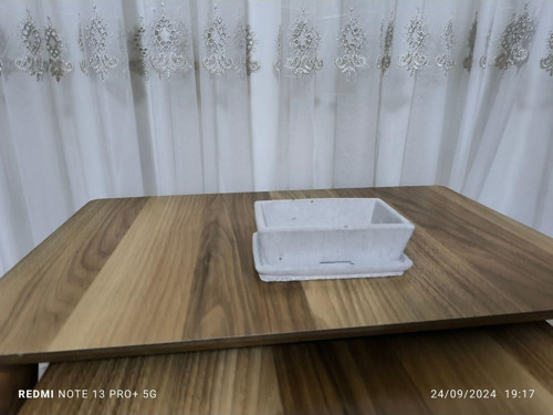 Salvador Dizayn Tabaklı Taş Vazo Aranjman Bonsai Ve Orkide Saksısı