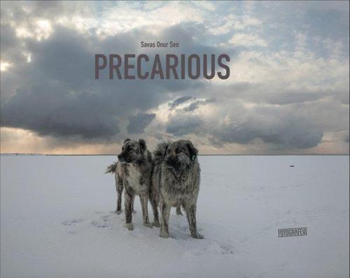 Precarious