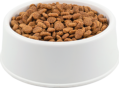 Premium Kısırlaştırılmış Somonlu Portakallı Kedi Maması 1 Kg