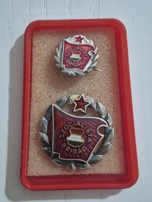 2 Adet 1950Ler Macar Madalya Rozet. Orijinal Kutusunda