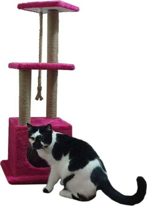 Kedi Tırmalama Evi Ve Oyun Platformu