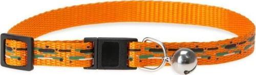 Kedi Tasması 30cm X 10mm Turuncu