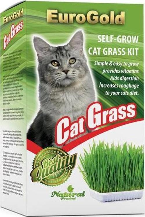 Cat Grass Yüksek Kaliteli Kedi Çimi Kediniz İçin Özel Seçilmiş Hijyenik Topraksız Kaliteli Tohumlar