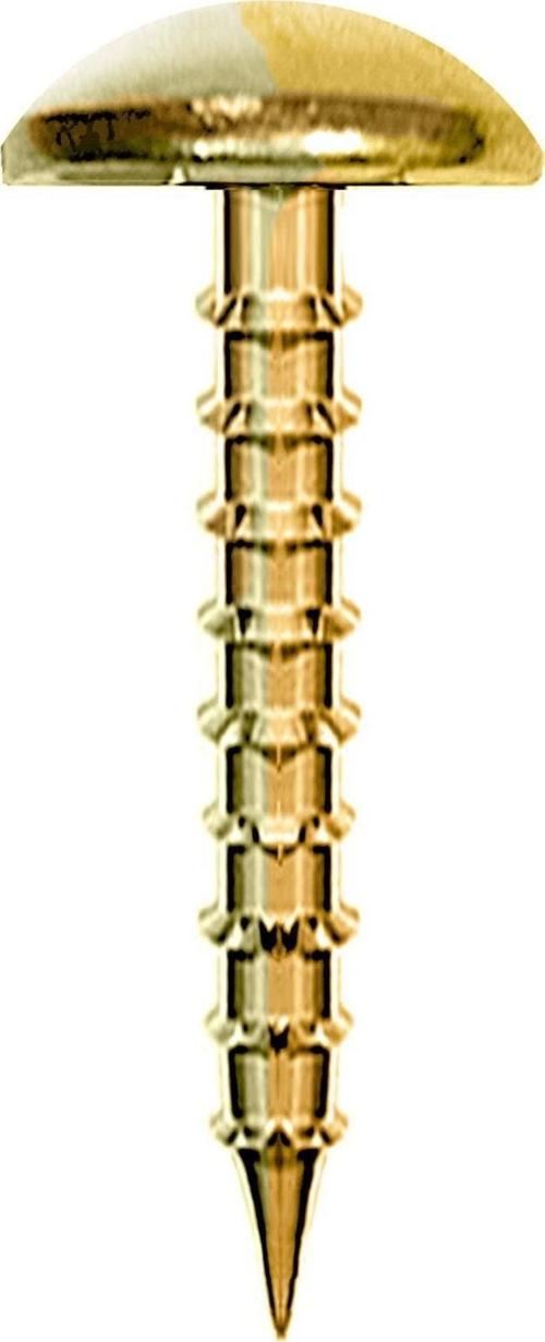 Altın Renk 30 Adet Kabara Dekoratif Çivisi