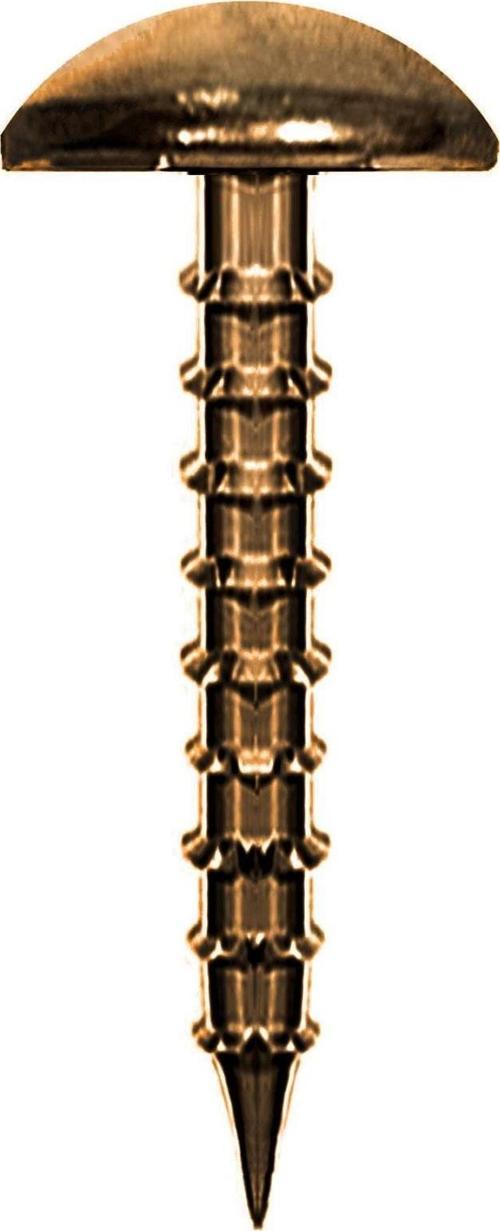 Antik Renk 30 Adet Kabara Dekoratif Çivisi