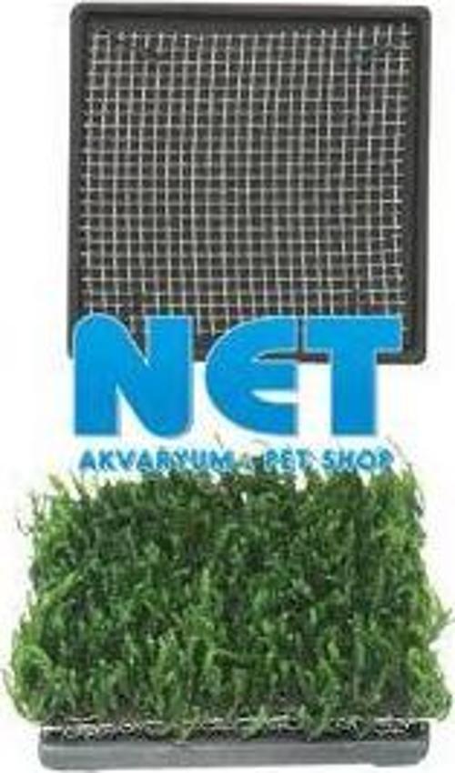 Bitki Tabanı Seramik 6.5 cm Kare