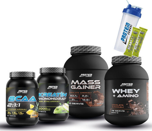 Whey Protein Tozu 2340 Gr Mass Gainer 4000 Gr Bcaa Kreatin Kombinasyonu