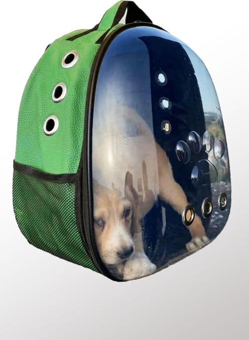 Yeşil Deri Kedi Taşıma Çantası El Ve Sırt Çantası 6 Hava Kanalı Kedi Taşıma Çantası