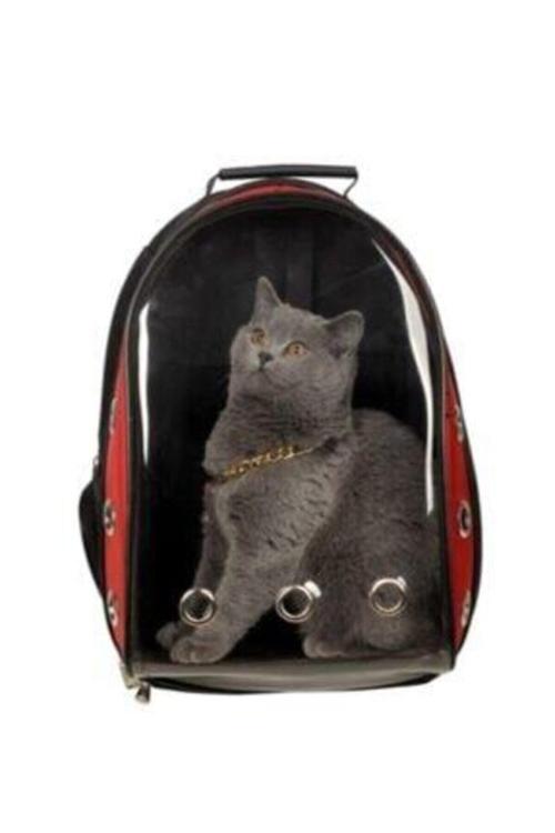 Kırmızı Şeffaf Kırılmaz Yıkanabilir Kedi Köpek Taşıma Çantası