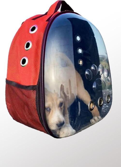 Deri Kedi Taşıma Çantası El Ve Sırt Çantası 6 Hava Kanalı Kedi Taşıma Çantası