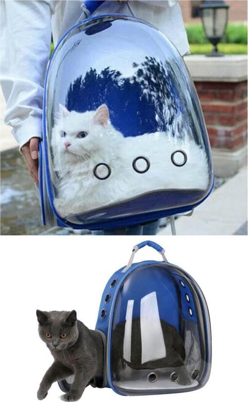 Mavi Astronot Şeffaf Hava Kanallı Kedi Köpek Evcil Hayvan Taşıma Seyahat Çanta