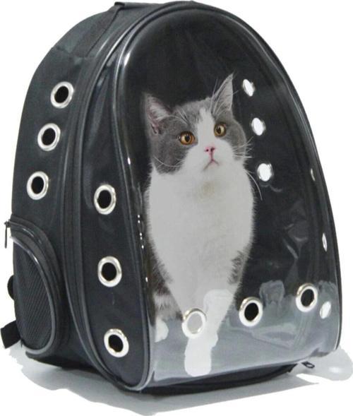 Şeffaf Astronot Kırılmaz Kedi Köpek Taşıma Çantası
