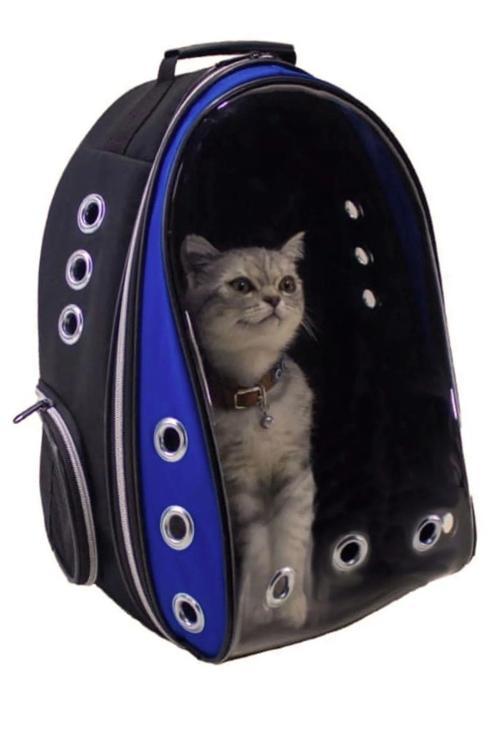 Şeffaf Hava Kanallı Kırılmaz Cam Kedi Köpek Taşıma Seyahat Çanta 42*22*33 Cm