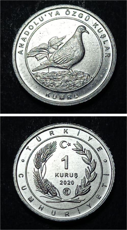 Escoines 399636894944a8e000 2020 Anadolu'ya Özgü Kuşlar Serisi KUMRU 1 Kuruş ÇİL Para