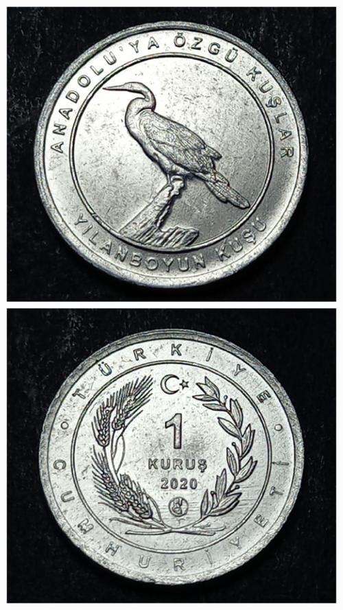 Escoines 399636894944d4d941 2020 Anadolu'ya Özgü Kuşlar Serisi YILANBOYUN KUŞU 1 Kuruş ÇİL Para