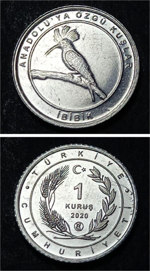 Escoines 39963689494501f032 2020 Anadolu'ya Özgü Kuşlar Serisi İBİBİK 1 Kuruş ÇİL Para