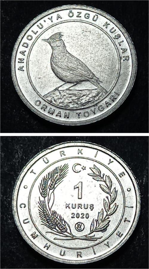 Escoines 3996368949452d25f7 2020 Anadolu'ya Özgü Kuşlar Serisi ORMAN TOYGARI 1 Kuruş ÇİL Para