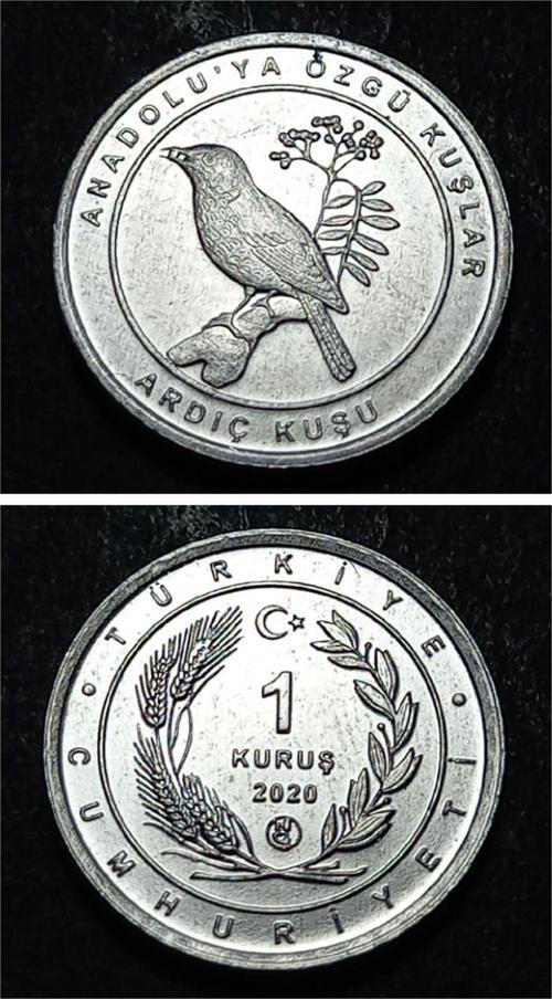 Escoines 3996368949468e1cdc 2020 Anadolu'ya Özgü Kuşlar Serisi ARDIÇ KUŞU 1Kuruş ÇİL Para