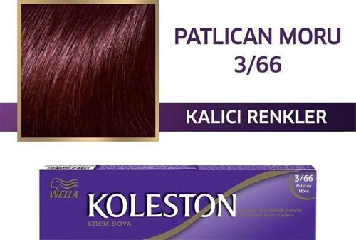 Koleston Tüp Boya 3-66 Patlıcan Moru