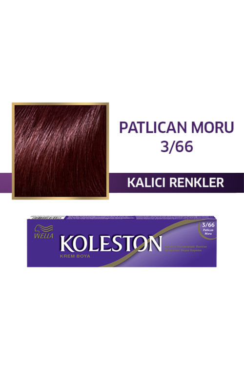 Koleston Tüp Boya 3-66 Patlıcan Moru