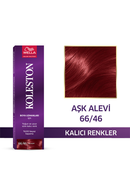 Koleston Tüp Boya Aşk Alevi 66/46