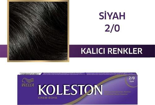 Koleston Tüp Boya Siyah 2/0