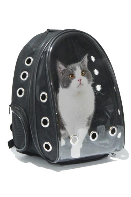 Şeffaf Hava Kanallı Kırılmaz Cam Kedi Köpek Taşıma Seyahat Çanta 42*22*33 Cm Siyah