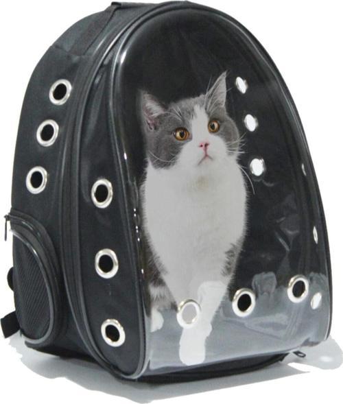 Şeffaf Hava Kanallı Kırılmaz Cam Kedi Köpek Taşıma Seyahat Çanta 42*22*33 Cm Siyah