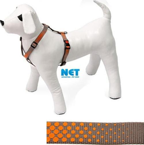 Art Sp.Plus Ayarlı Tasma 25-40CM 10MM