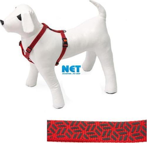 Art Sp.Plus Ayarlı Tasma 35-50CM 15MM