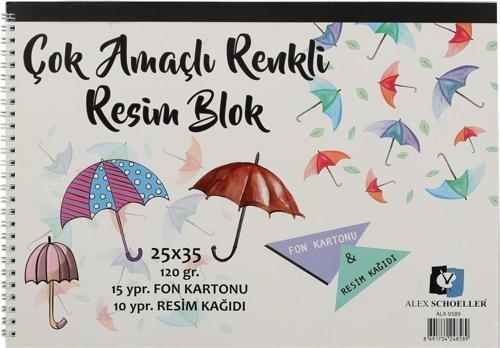 ALX-0589 Resim Defteri Spiralli 25 Yaprak 25x35 Cm 120 Gram A.SPR.RSM.120.025