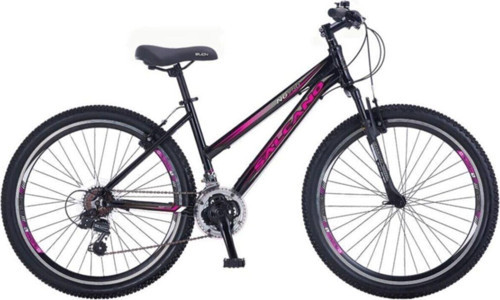ng 950 24 V lady Genç Kadın bisikleti siyah-Gri- pembe