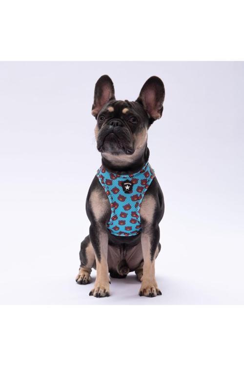 Bears Air-Mesh Göğüs Tasması Kedi Köpek Göğüs Tasması