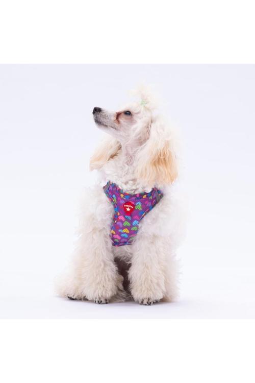 Hearts Air-Mesh Kedi Köpek Göğüs Tasması