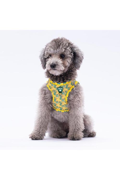 Cactus Air-Mesh Göğüs Tasması Kedi Köpek Göğüs Tasması