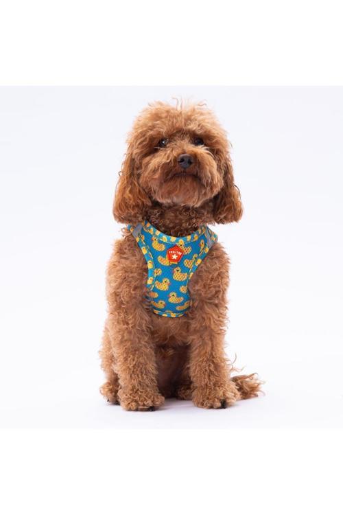 Ducks Air-Mesh Göğüs Tasması Kedi Köpek Göğüs Tasması