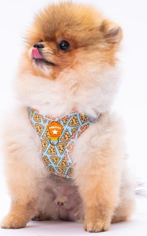 Pizza Air-Mesh Göğüs Tasması Kedi Köpek Göğüs Tasması