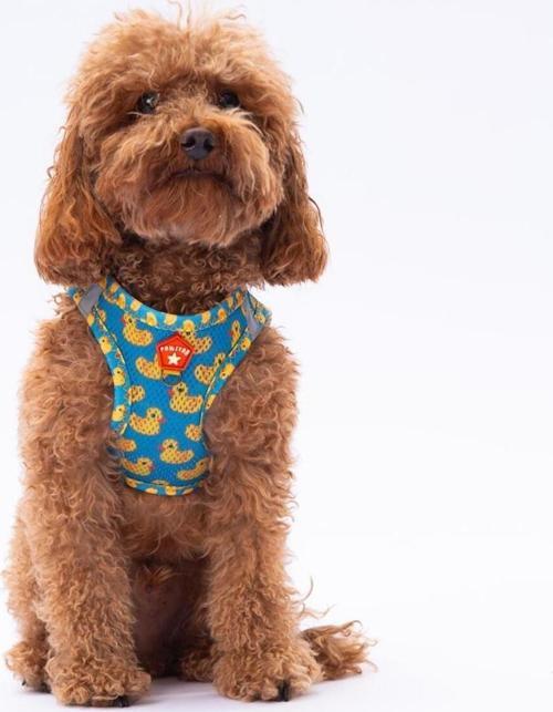 Ducks Air-Mesh Göğüs Tasması Kedi Köpek Göğüs Tasması XS
