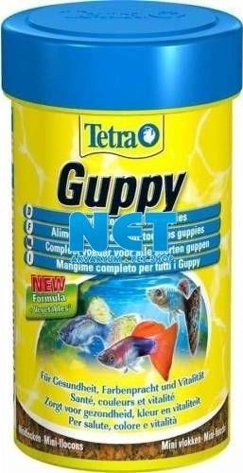 Tetra Guppy Mini Flakes 100 ML Lepistes Balığına özel yem