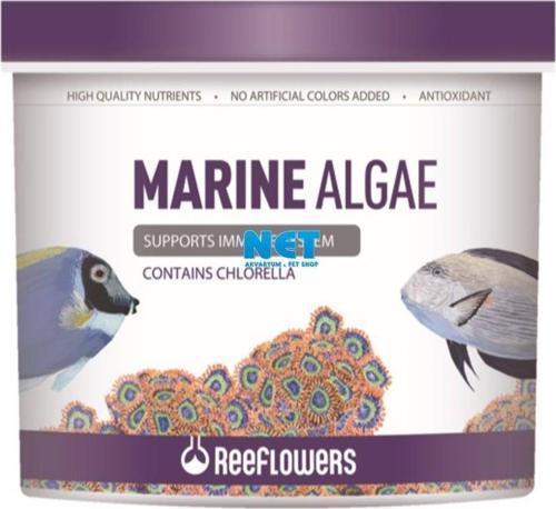 Marine Algae 150 ML
