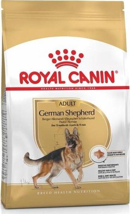 German Shepherd Alman Kurdu Maması 11 KG
