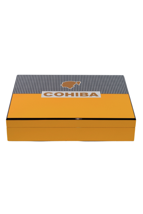 Sarı-Gri Nokta Desenli Sedir Humidor Puro Kutusu