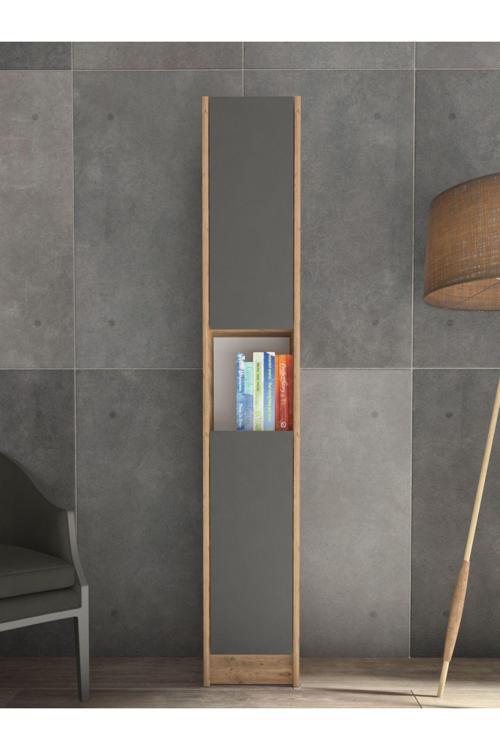 Flat30 Kitaplık 2 Kapaklı Çok Amaçlı Dolap Çam Antrasit