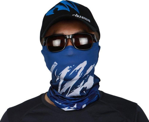 Blue Motif Sun Shield