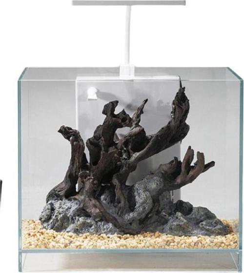 ZJ-20 Akvaryum+Dekor 20x20x25 Cm (10L)