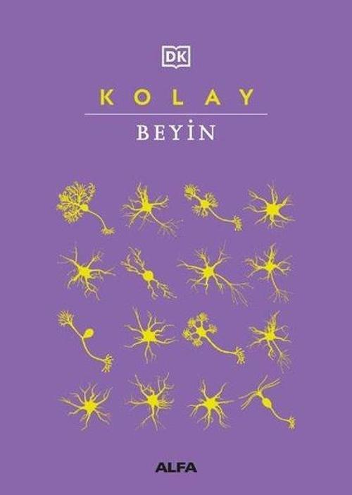 Alfa Yayıncılık Kolay Beyin