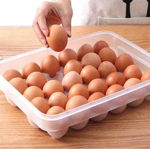 30lu Yumurta Saklama Kabı