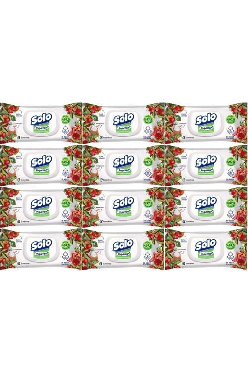 Islak Havlu Mendil 50 Yaprak Elma Sirkesi & Karbonat (12 Li Set) (4Pk*3) 600 Yaprak