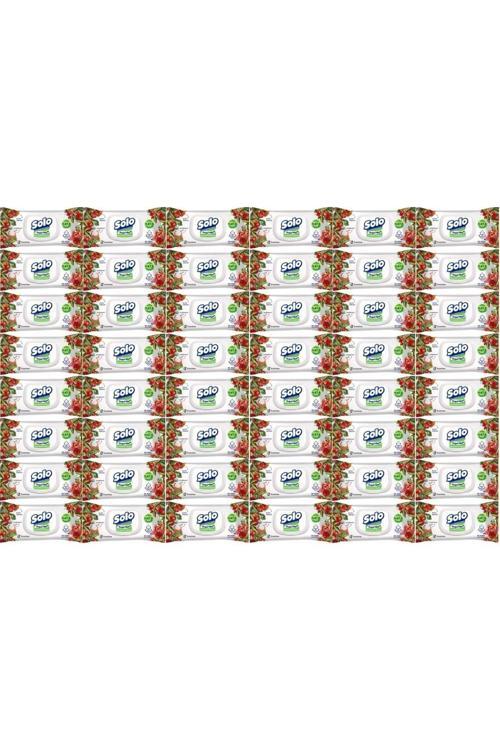 Islak Havlu Mendil 50 Yaprak Elma Sirkesi & Karbonat (48 Li Set) (16Pk*3) 2400 Yaprak
